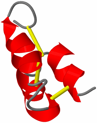 Image NMR Structure - model 1