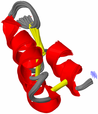 Image NMR Structure - all models