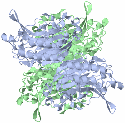 Image Biological Unit 1