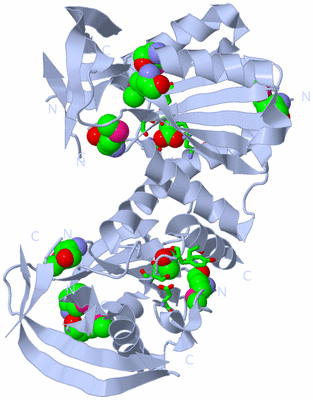 Image Biol. Unit 1 - sites