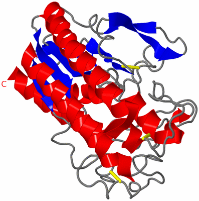 Image Asymmetric Unit