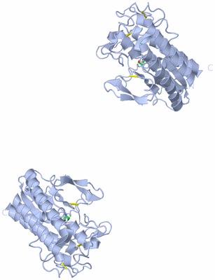Image Biol. Unit 1 - sites