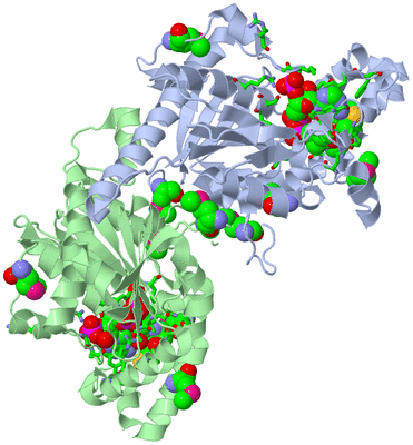 Image Biol. Unit 1 - sites