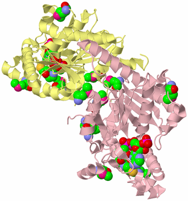 Image Biological Unit 2