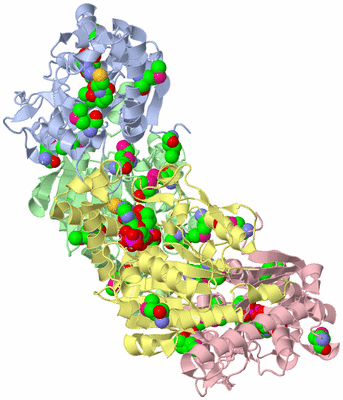 Image Biological Unit 3