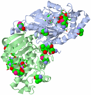 Image Biol. Unit 1 - sites