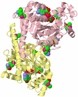 Image Biological Unit 2