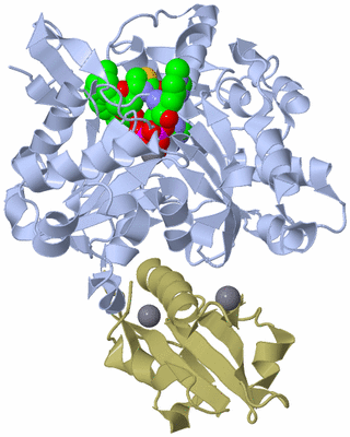 Image Asym./Biol. Unit