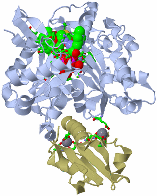 Image Asym./Biol. Unit - sites