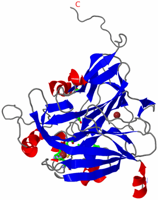 Image Asym. Unit - sites