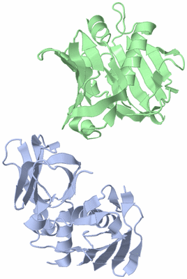 Image Asymmetric Unit