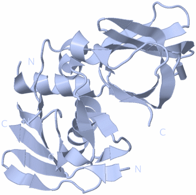 Image Biological Unit 1