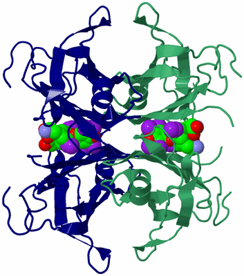 Image Biological Unit 2