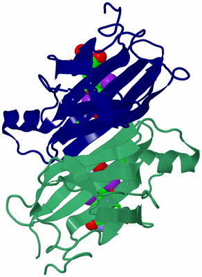 Image Asym. Unit - sites