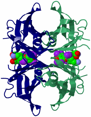 Image Biological Unit 2