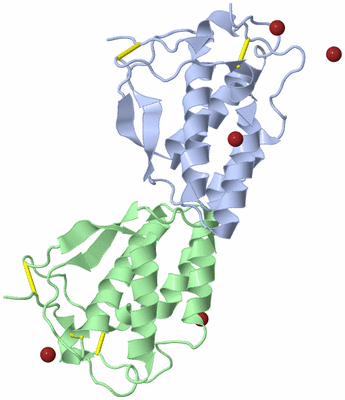 Image Biological Unit 1