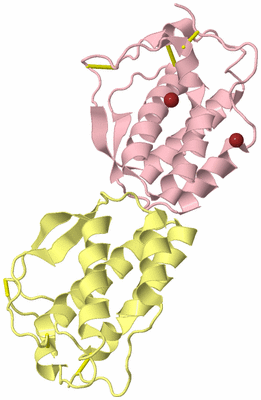 Image Biological Unit 2