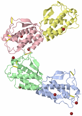 Image Biological Unit 3