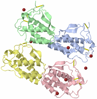 Image Biological Unit 4