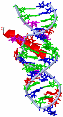 Image NMR Structure - all models