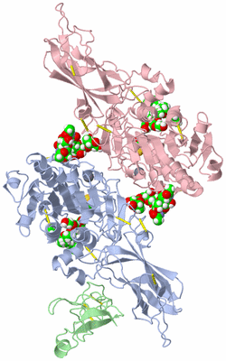 Image Biological Unit 1