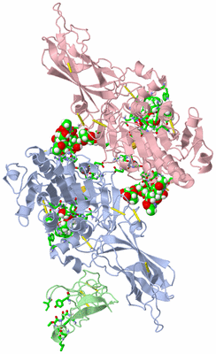 Image Biol. Unit 1 - sites