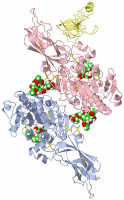 Image Biological Unit 2