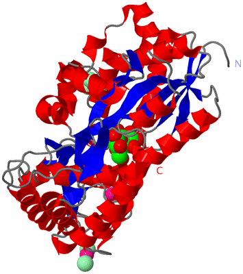 Image Asym./Biol. Unit