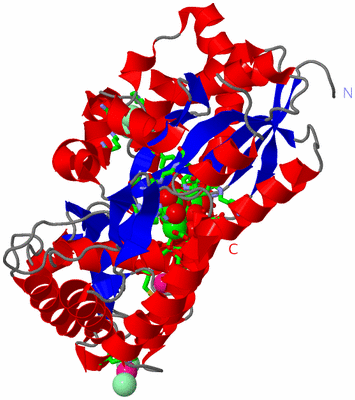 Image Asym./Biol. Unit - sites