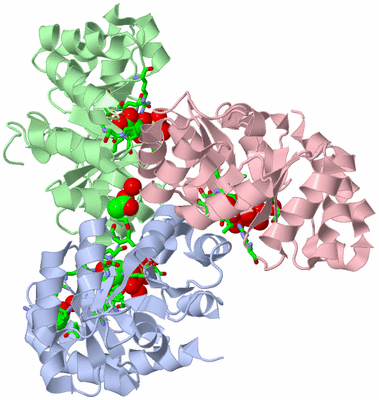 Image Asym./Biol. Unit - sites