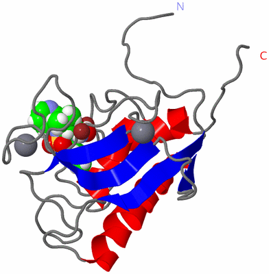 Image NMR Structure - model 1