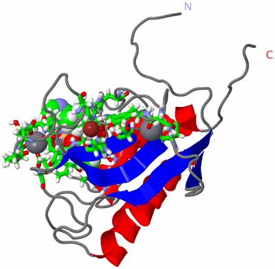 Image NMR Structure - model 1, sites