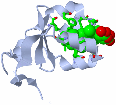 Image Biol. Unit 1 - sites