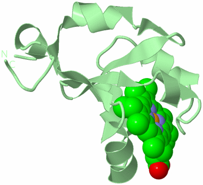 Image Biological Unit 2