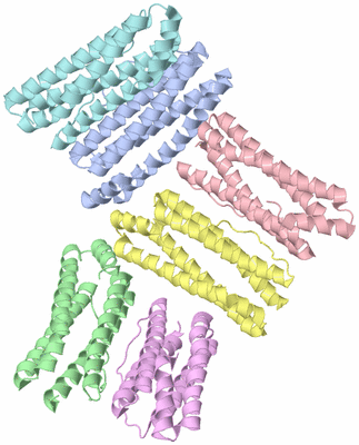 Image Asymmetric Unit