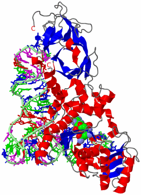 Image Asym./Biol. Unit