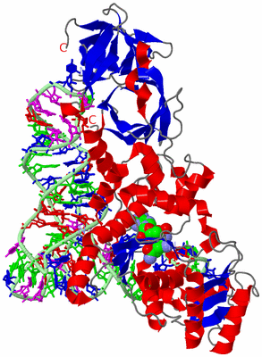 Image Asym./Biol. Unit