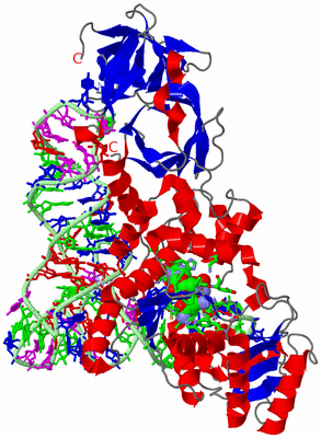 Image Asym./Biol. Unit - sites