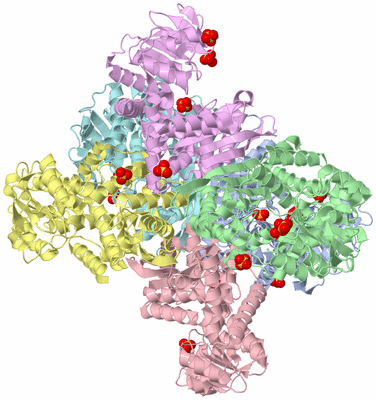 Image Asym./Biol. Unit