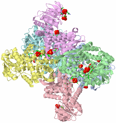 Image Asym./Biol. Unit - sites