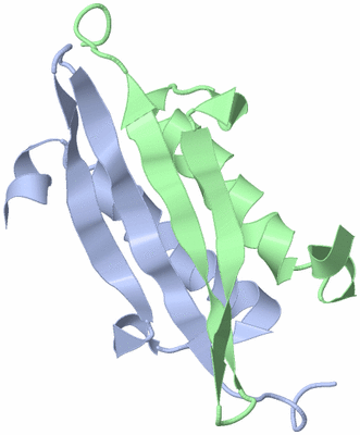 Image NMR Structure - model 1