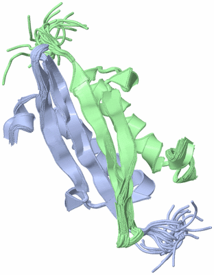 Image NMR Structure - all models