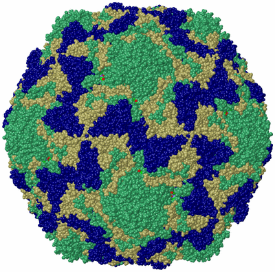 Image Biol. Unit 1 - sites