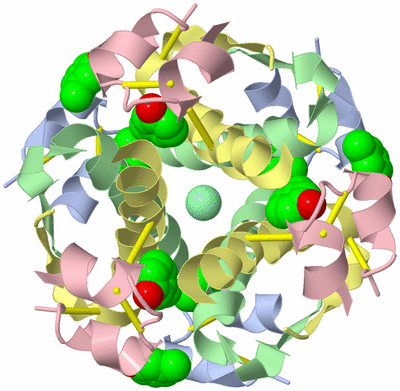 Image Biological Unit 1