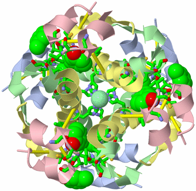 Image Biol. Unit 1 - sites