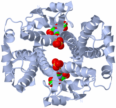 Image Biological Unit 1