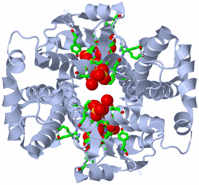 Image Biol. Unit 1 - sites