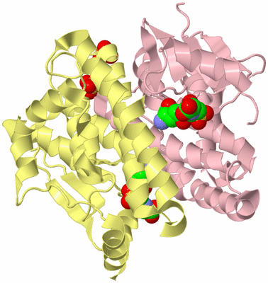 Image Biological Unit 2