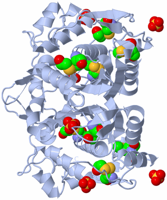 Image Biological Unit 1