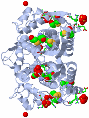 Image Biol. Unit 1 - sites